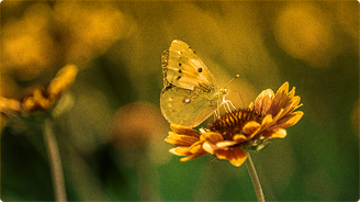 The Courage to End a Good-Enough Relationship